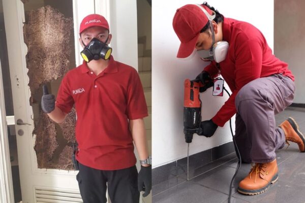 Pelayanan Yang Di Dapat Dari Jasa Anti Rayap